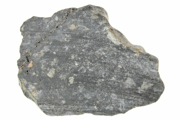 Polished Lunar Meteorite ( g) Section - NWA #360237